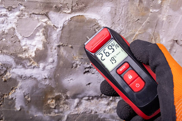 Best Office Mold Removal Services  in Grandview Heights, OH