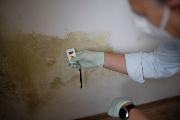 Best Mold Testing  in Grandview Heights, OH