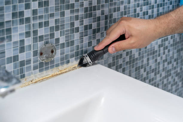 Best Best Mold Removal Companies  in Grandview Heights, OH
