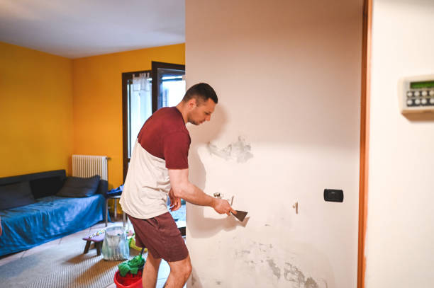 Best Certified Mold Removal  in Grandview Heights, OH